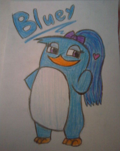  Bluey :D