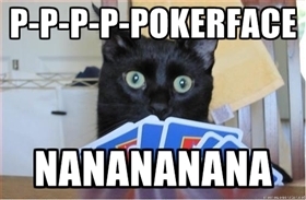  Cat playing poker