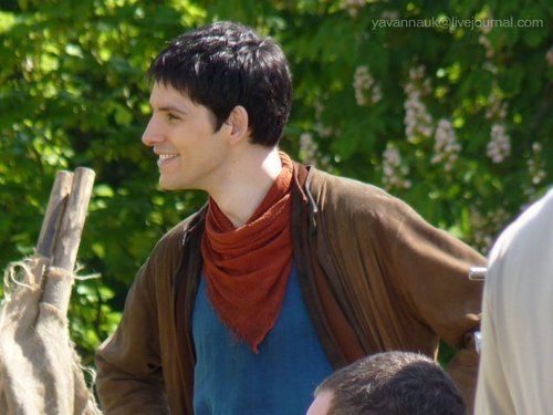  Handsome Merlin