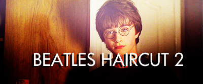  Harry Hairdo Funnies
