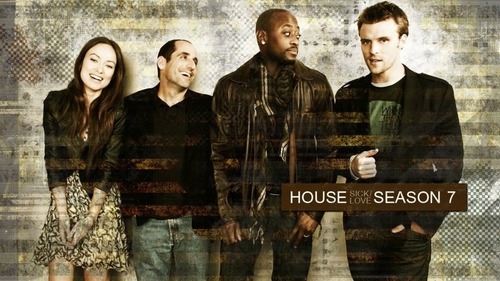  House Season 7