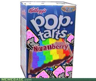Nyanberry Poptarts, Anyone?