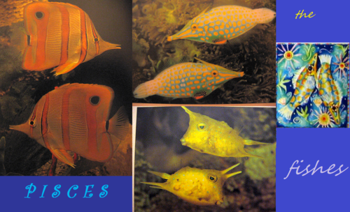 Pisces: The Fishes