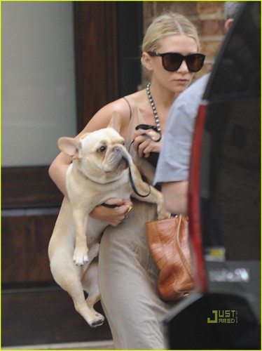  Ashley Olsen Steps Out with Pet Pooch