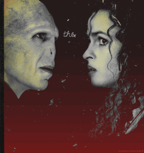  Bellatrix&Voldemort