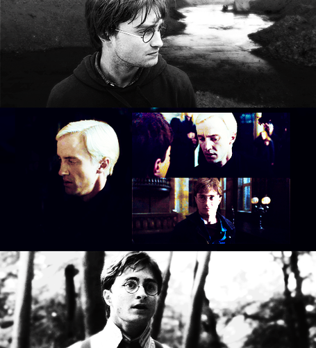  Draco x Harry