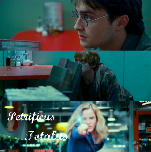  Harry Potter-DH