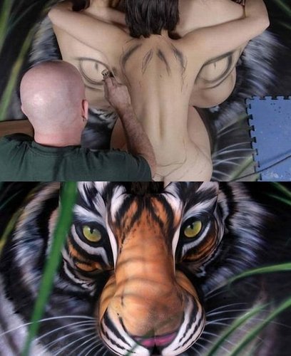  Humans atau a Tiger