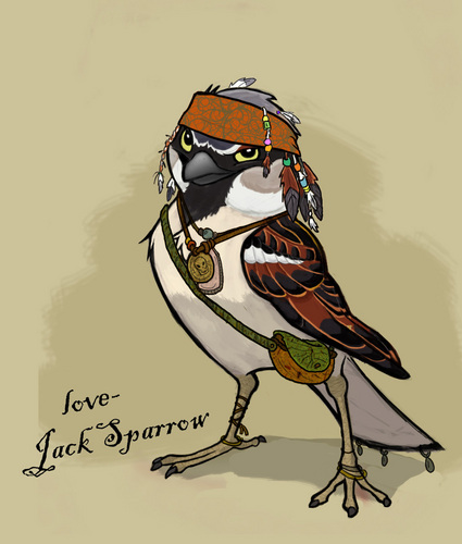  Sparrow (Jack)