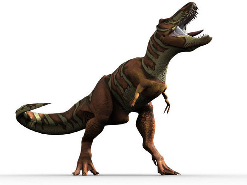  T. Rex