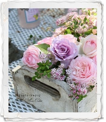  Vintage Roses For Princess-Yvonne ♥