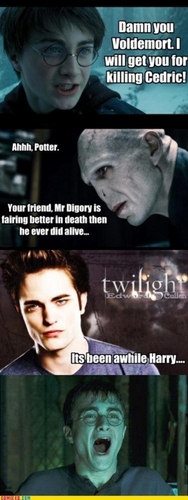  Voldemort Funnies