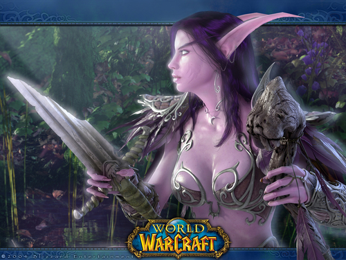  World Of Warcraft