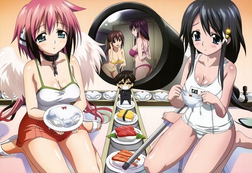  ikaros and other angeloids
