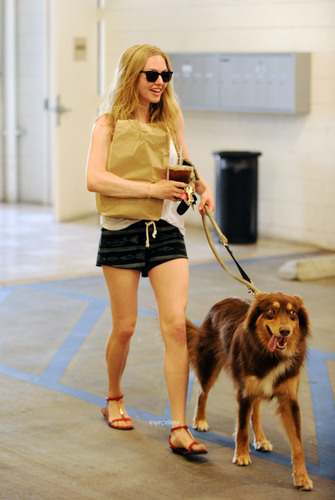  Amanda Seyfried Grabs a Coffee with her Dog in Hwood, Jul 2