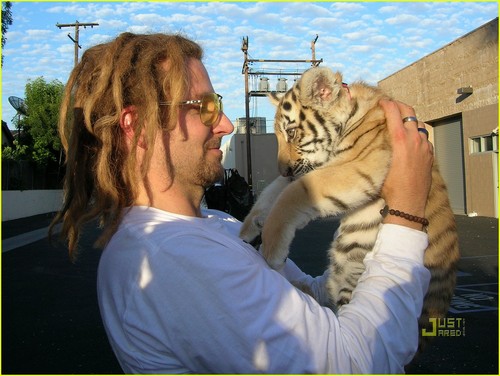 Bradley Cooper: Tiger Cub Cuddling!