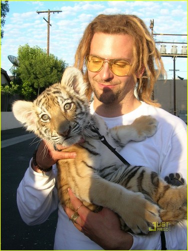  Bradley Cooper: Tiger Cub Cuddling!
