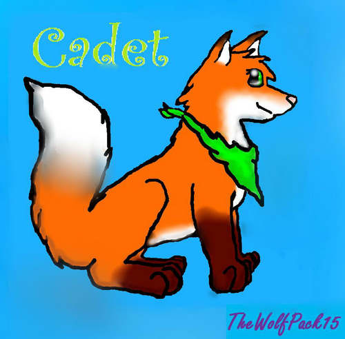  Cadet