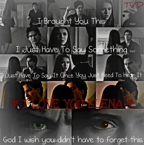 Damon says to Elena I Love You (I love this scene)