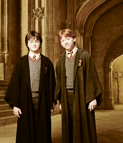  Young Ron & Harry in the Chamber of Secrets :))