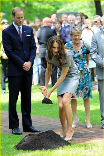 Prince William & Kate: Tree Planting Ceremony!