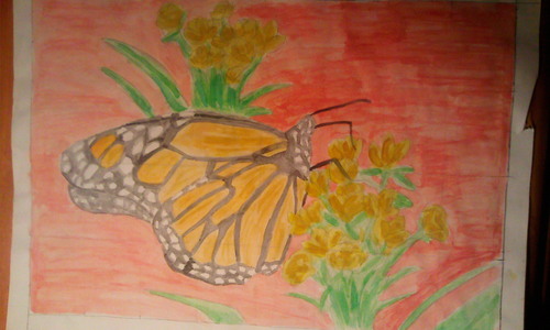  See my School Proyects!!!: Monarch farfalla