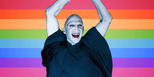  Voldemort for Gay Rights!