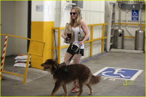  Amanda Seyfried & Finn Walk in West Hollywood