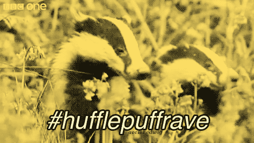  팬 Art - Hufflepuff