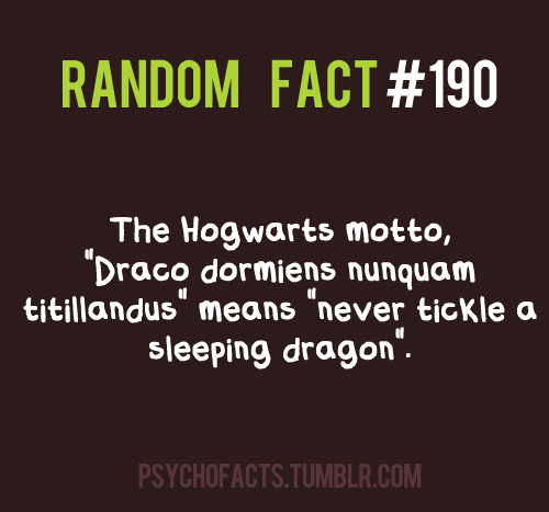  HP facts