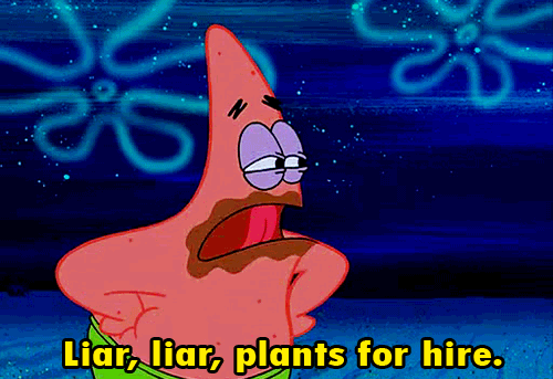 Patrick तारा, स्टार