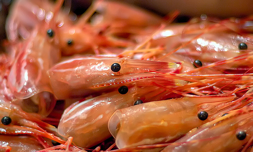 Shrimp heads