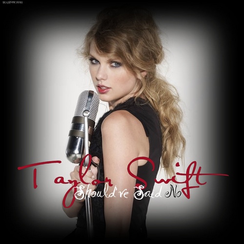 Taylor Swift - Should've Said No