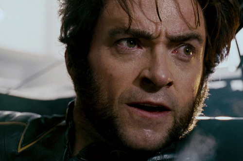 Wolverine - Hugh Jackman as Wolverine Photo (23433671) - Fanpop