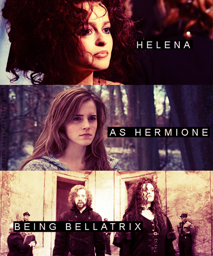  Bellatrix!