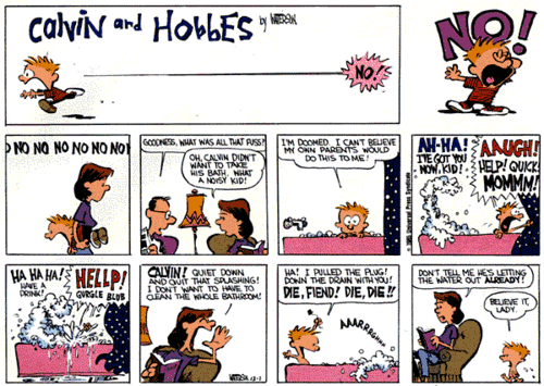 Calvin & Hobbes Comics