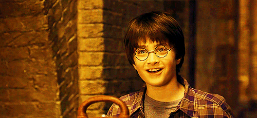  Harry Potter,