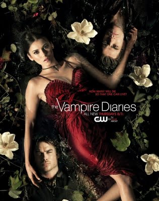 New Season 3 Vampire Diaries Promo Poster