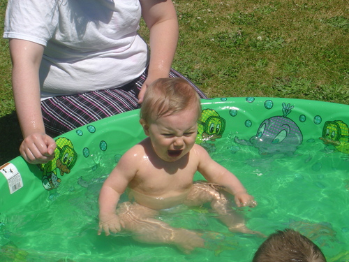  Ziggy's first time in the pool ♥