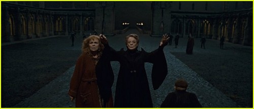  'Harry Potter & The Deathly Hallows, Part II' -- مزید PICS!