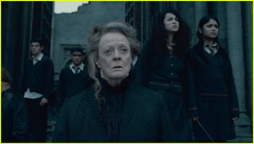  'Harry Potter & The Deathly Hallows, Part II' -- zaidi PICS!