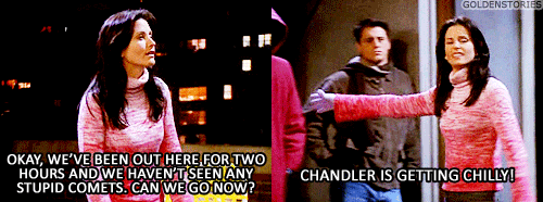  Chandler Bing