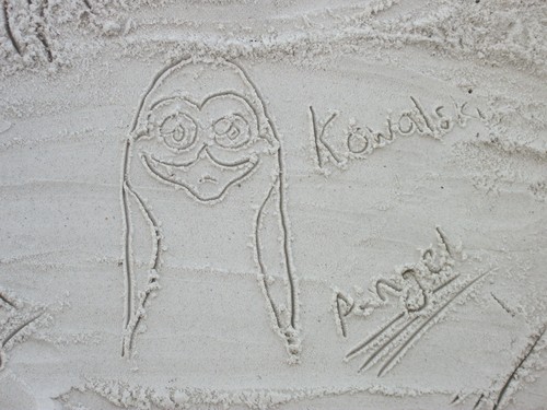  Kowalski in the Sand