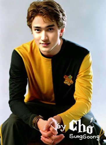  LOL (suju turns into Harry potter characters!)