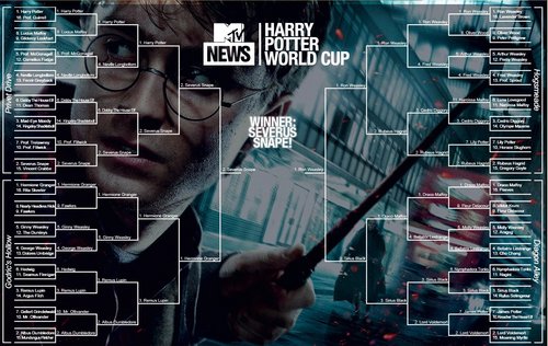  MTV Harry Potter World Cup Bracket
