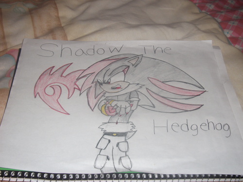  My Drawing of Shadow