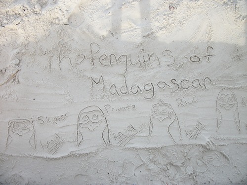  Penguins in the Sand