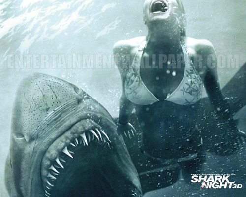  शार्क Night 3D (2011)
