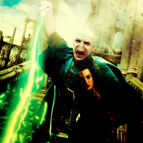  Voldemort&&Bellatrix