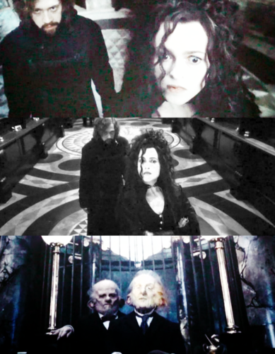  **SPOILERS** Bellatrix ~~ Death Hallows
